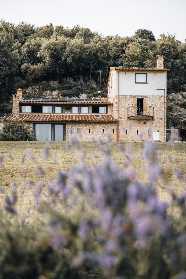 Апартаменты La Casa Del Tartufo Torri in Sabina Экстерьер фото